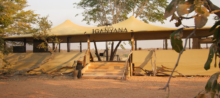 Iganyana tented camp, Hwange, Africa
