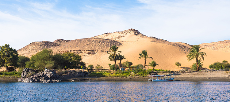 Palm trees and desert hills along the shore of the Nile